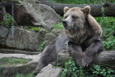 Děčín: Zoo